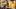 Video Platzhalter Video Platzhalter