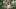 Video Platzhalter Video Platzhalter