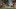 Video Platzhalter Video Platzhalter
