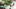 Video Platzhalter Video Platzhalter