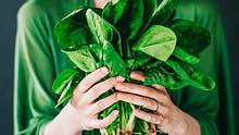 Spinat ist alles andere als langweilig! Das beweisen diese Rezepte. - Foto: knape/iStock