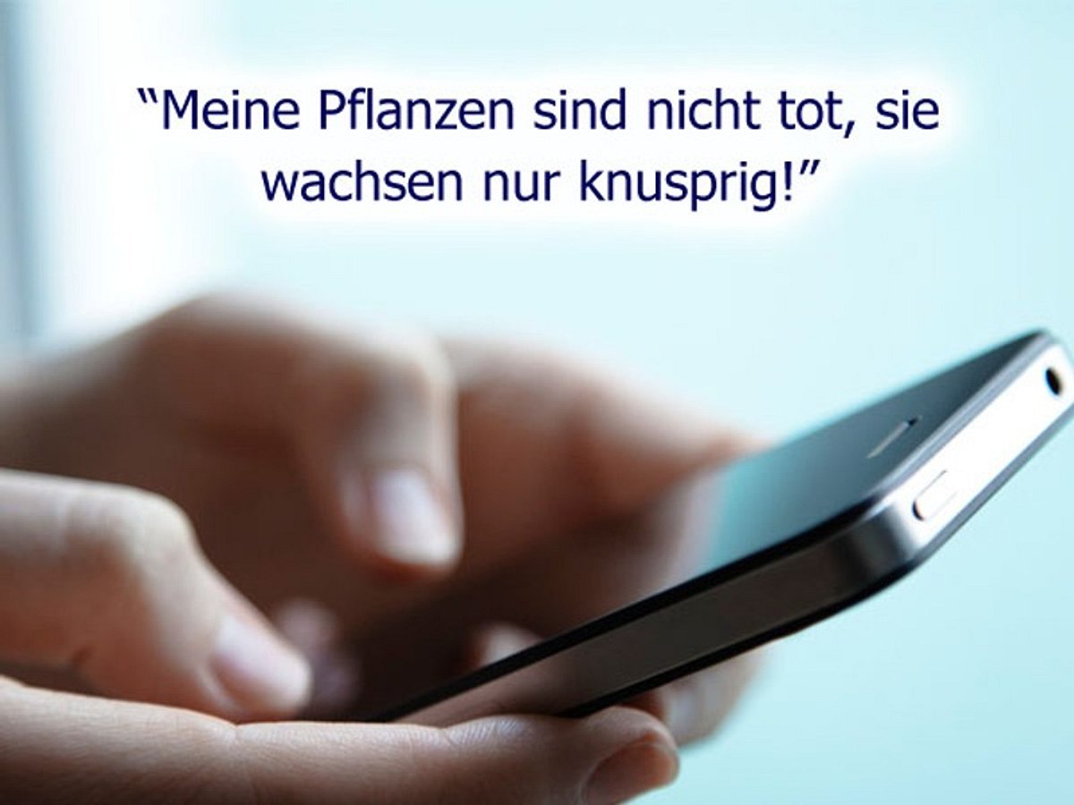 Lustige WhatsApp-Status-Sprüche: Botanik-Expertin whatsapp status sprueche n